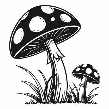 Ormanda siluet mantarlar, illüstrasyon, beyaz arka planda vektör.