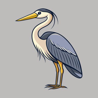 Gri arkaplandaki bir Toucan kuşunun vektör görüntüsü.