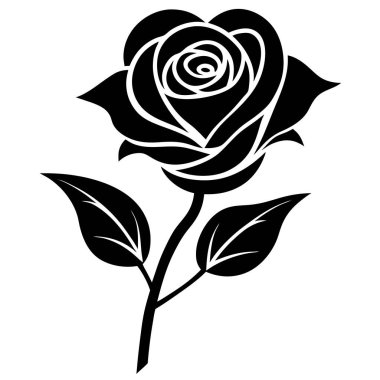 Beyaz arkaplanlı siyah gül, vektör illüstrasyonu.