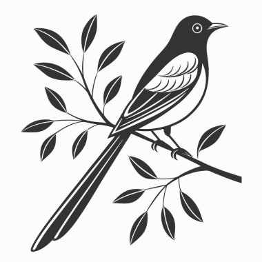 Dal, illüstrasyon, beyaz arka plan üzerinde vektör kuş.