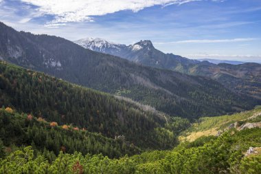 View of the Jaworzynka Valley in autumn. Tatra Mountains.