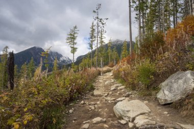 Autumn view of the High Tatras from the area of Strbske Pleso in Slovakia.