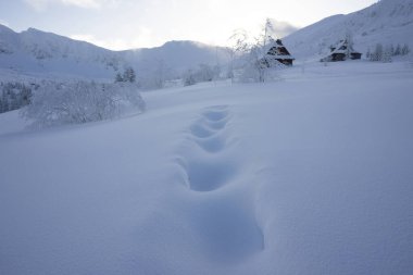 Winter landscape in the Tatra Mountains. Gasienicowa Valley.