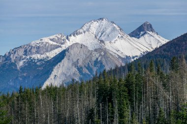 View of the peaks of the Belianske Tatras.