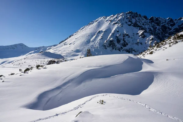 Tatras Altos Invierno Valle Los Cinco Estanque Polaco Con Pico —  Fotos de Stock