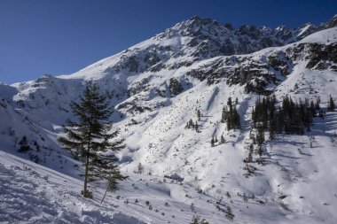 Kışın yüksek Tatra. Kozi Wierch tepesine bak.