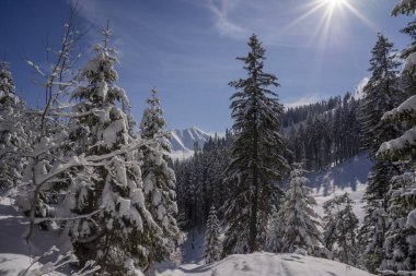 Batı Tatra Dağları 'nın kış manzarası. Chocholowska açıklık alanı.
