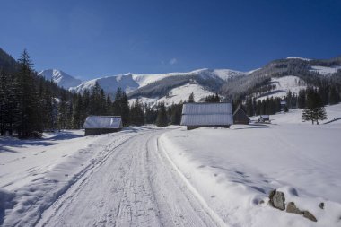 Kışın Chocholowska Vadisi. Tatra Dağları.