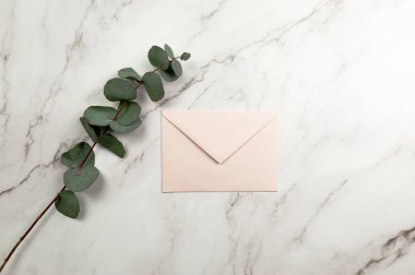 Beyaz mermer zemin üzerinde okaliptüs yaprakları ve pembe zarfın üst görüntüsü. Düz yat, boşluğu kopyala.