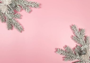 Noel kompozisyonu, köknar ağacı dalları, pembe arka planda kış çiçekleri. Noel, yeni yıl, kış konsepti. Üst görünüm, düz görünüm, kopyalama alanı. 