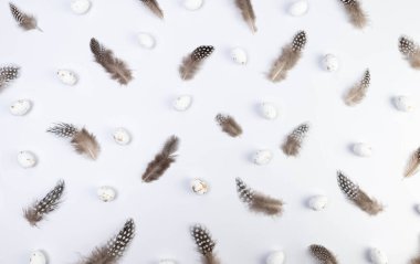 Kahverengi tüylerin üst görüntüsü, beyaz arka planda beyaz paskalya yumurtaları. Yaratıcı paskalya kompozisyonu, yay, kopyalama alanı, düz konum. 