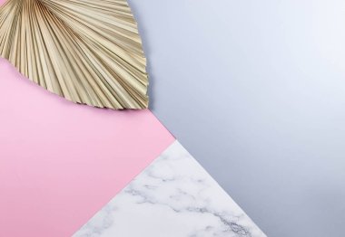Renkli arka planda kurumuş palmiye yaprağının üst görüntüsü. Mavi, pembe ve mermer arka plan. Pastel renkli duvar kağıdı, mermer dokusu, düz yatak, kopyalama alanı.