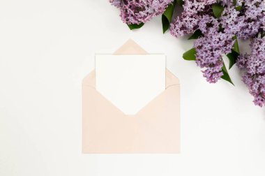 Beyaz arka planda mor leylak çiçeklerinin üst görüntüsü. Pembe zarf, beyaz kart, posta. Yay duvar kağıdı, düz yatak, kopyalama alanı.
