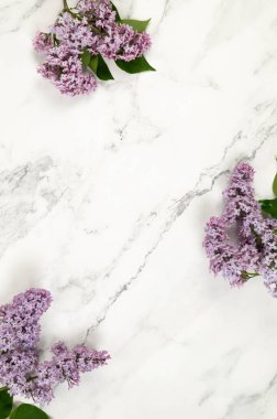 Beyaz mermer arka planda mor leylak çiçeklerinin üst görüntüsü. Yay duvar kağıdı, düz yatak, kopyalama alanı.
