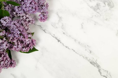 Beyaz mermer arka planda mor leylak çiçeklerinin üst görüntüsü. Yay duvar kağıdı, düz yatak, kopyalama alanı.