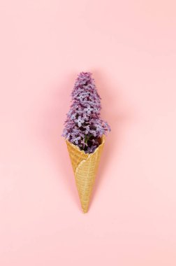 Pembe arka planda mor leylak çiçeklerinin üst görüntüsü. Yaratıcı dondurma külahı. Bahar ve yaz duvar kağıdı, düz döşeme, kopyalama alanı.