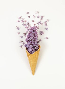 Beyaz arka planda mor leylak çiçeklerinin üst görüntüsü. Yaratıcı dondurma külahı. Bahar ve yaz duvar kağıdı, düz döşeme, kopyalama alanı.