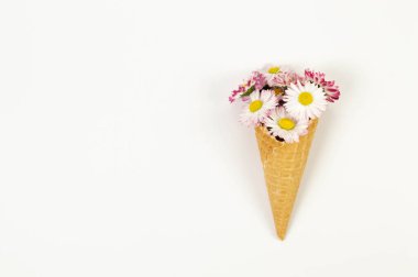 Beyaz arka planda papatya çiçeğinin en üst görüntüsü. Yaratıcı dondurma külahı. Bahar ve yaz duvar kağıdı, düz döşeme, kopyalama alanı.