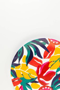 Beyaz arkaplandaki renkli plakanın üst görünümü. Egzotik bitki plakası, yaz pikniği. Düz yat, boşluğu kopyala.