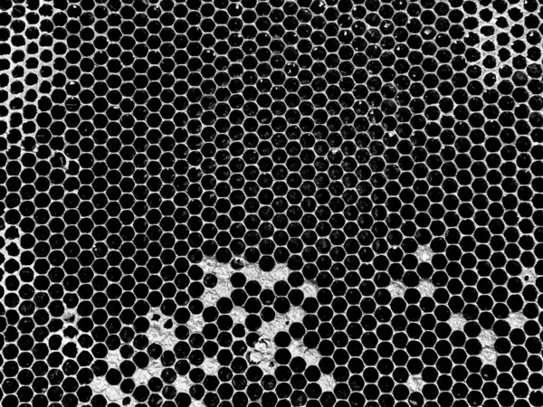 Structure Hexagonale Abstraite Est Nid Abeille Ruche Remplie Miel Composition — Photo