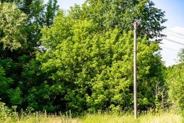 Renkli arka planda kablo olan elektrik direği yakın planda, elektrik direği ile gökyüzünün altında halat kablosu, konut binaları için elektrik direği hattı kablosu.