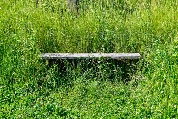 Photography on theme old wooden bench overgrown with grass on background natural nature, photo consisting from old wooden bench to grass, flat old wooden bench at grass this is countryside no people