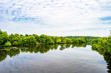Kırsal kesimde yetişen güzel ot sazları renkli arka planda yetişiyor. Islak sularda vahşi ot bataklık kamışları, doğadan gelen uzun çimen kamışları.