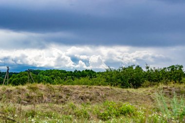 Renkli doğal arka plan üzerine köy çayırında güzel bir ufuk manzarası, uzun çayırdaki çayır köyünde ufuk manzarası, hayvan için köy otlağındaki ufuk doğa manzarası.