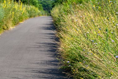 Renkli arka planda güzel boş asfalt yol, kırsal alandan geçen yeni boş asfalt yol, yeşillik kırsalında hız arabası için boş asfalt yol.