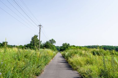 Renkli arka planda güzel boş asfalt yol, kırsal alandan geçen yeni boş asfalt yol, yeşillik kırsalında hız arabası için boş asfalt yol.