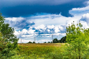 Renkli doğal arka plan üzerine köy çayırında güzel bir ufuk manzarası, uzun çayırdaki çayır köyünde ufuk manzarası, hayvan için köy otlağındaki ufuk doğa manzarası.