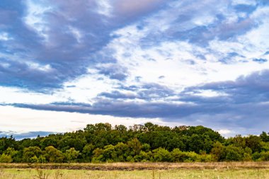 Renkli doğal arka plan üzerine köy çayırında güzel bir ufuk manzarası, uzun çayırdaki çayır köyünde ufuk manzarası, hayvan için köy otlağındaki ufuk doğa manzarası.