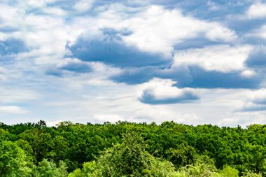 Renkli doğal arka plan üzerine köy çayırında güzel bir ufuk manzarası, uzun çayırdaki çayır köyünde ufuk manzarası, hayvan için köy otlağındaki ufuk doğa manzarası.