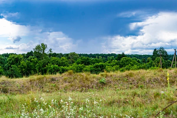 stock image Beautiful horizon scenery in village meadow on color natural background, photography consisting of horizon scenery in meadow village at long sedge, horizon nature scenery in village meadow for animal