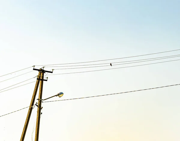 Power Electric Pole Line Wire Colored Background Close Photography Consisting — 图库照片