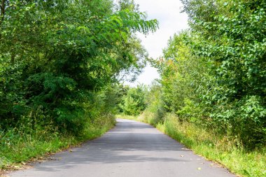 Renkli arka planda güzel boş asfalt yol, kırsal alandan geçen yeni boş asfalt yol, yeşillik kırsalında hız arabası için boş asfalt yol.