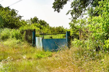 Doğal arka planda terk edilmiş bir evden güzel bir kapı, eski bir kapıdan köye, eski bir evden köye, vahşi, büyük, aydınlık bir yeşilliğe açılan eski bir evden oluşan bir fotoğraf.