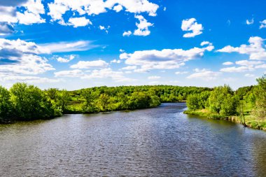 Kırsal kesimde yetişen güzel ot sazları renkli arka planda yetişiyor. Islak sularda vahşi ot bataklık kamışları, doğadan gelen uzun çimen kamışları.