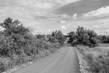 Renkli arka planda güzel boş asfalt yol, kırsal alandan geçen yeni boş asfalt yol, yeşillik kırsalında hız arabası için boş asfalt yol.