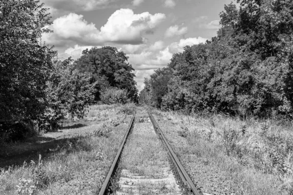 鉄道を通過した後のテーマ鉄道軌道への写真 鉄道による高速移動列車の前の長い鉄道軌道からなる写真 鉄道での列車のための鉄道輸送トラック — ストック写真