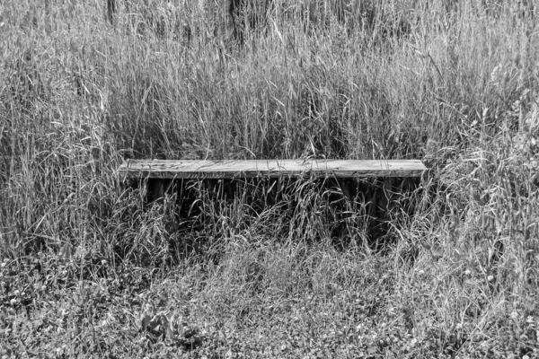 自然を背景に草で覆われた古い木のベンチをテーマにした写真 古い木のベンチから草まで構成される写真 芝生の上で平らな古い木のベンチこれは田舎の人ではありません — ストック写真