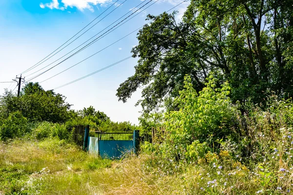 Beautiful old gate from abandoned house in village on natural background, photography consisting of old gate for house to village, old gate out village house at wild natural big light foliage close up