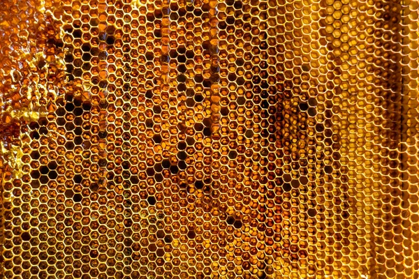 금빛꿀 육각형의 벌집에서 꿀벌의 떨어뜨리는 구성된 벌집의 위에서 떨어지는 벌집에서 — 스톡 사진