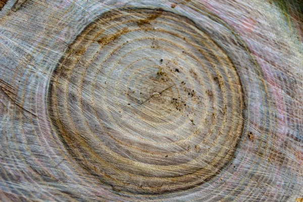 아름다운 골절상 참나무 자연적 골절상 줄무늬가 배경을 장식적 — 스톡 사진