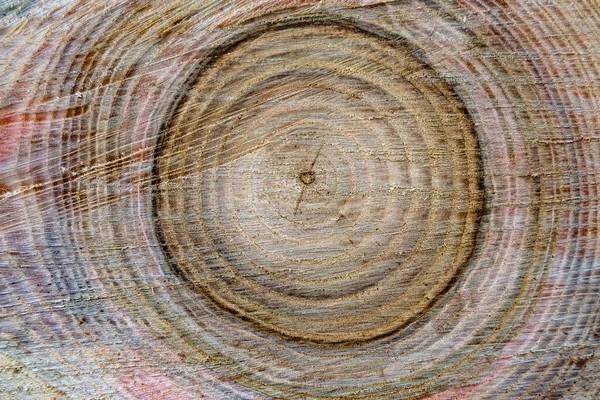 Krásná Dřevěná Trhlina Starý Dub Přírodní Textura Zblízka Textura Skládající — Stock fotografie