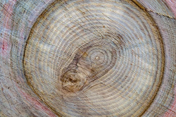 Piękne Drewniane Złamanie Stary Dąb Naturalna Tekstura Zbliżenie Tekstura Składająca — Zdjęcie stockowe