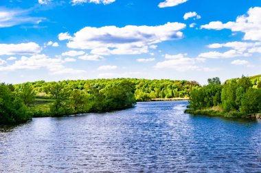 Kırsal kesimde yetişen güzel ot sazları renkli arka planda yetişiyor. Islak sularda vahşi ot bataklık kamışları, doğadan gelen uzun çimen kamışları.