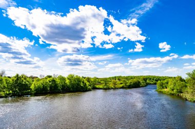 Kırsal kesimde yetişen güzel ot sazları renkli arka planda yetişiyor. Islak sularda vahşi ot bataklık kamışları, doğadan gelen uzun çimen kamışları.