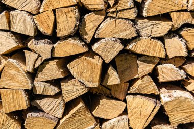 Temalı büyük bir meşe ağacı kütüğü duvarı, doğal arka planda eski meşe kütükleri, çeşitli çizgilerle dokulu geleneksel meşe ağacı kütükleri.