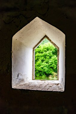 Tema üzerine fevkalade bir fotoğraf. Tuğla, eski su değirmeni. Nehir kenarındaki eski su değirmeninin kırsal kesimindeki büyük tuğla fabrikasının fotoğrafı.